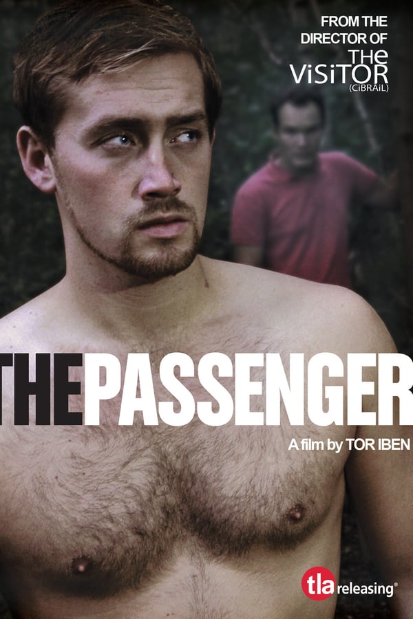 Cover of the movie The Passenger