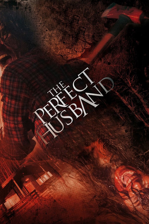 Cover of the movie The Perfect Husband