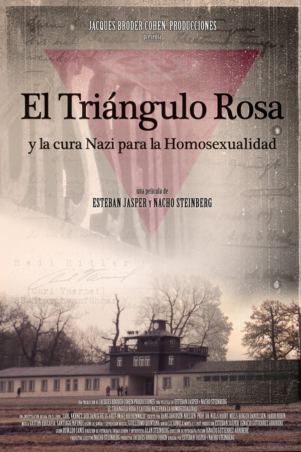 Cover of the movie The Pink Triangle and the Nazi Cure for Homosexuality