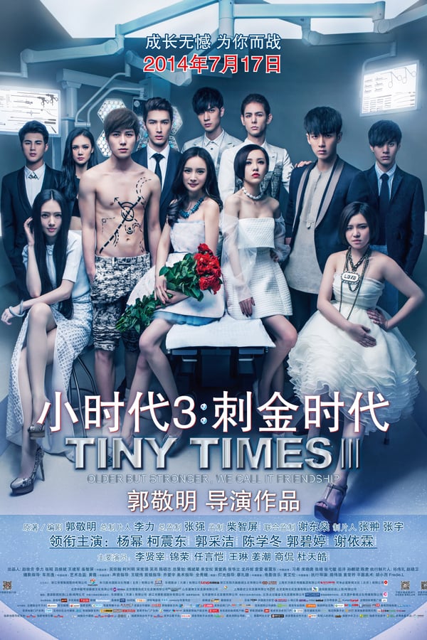 Cover of the movie Tiny Times 3