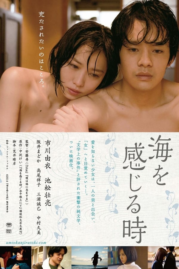 Cover of the movie Undulant Fever