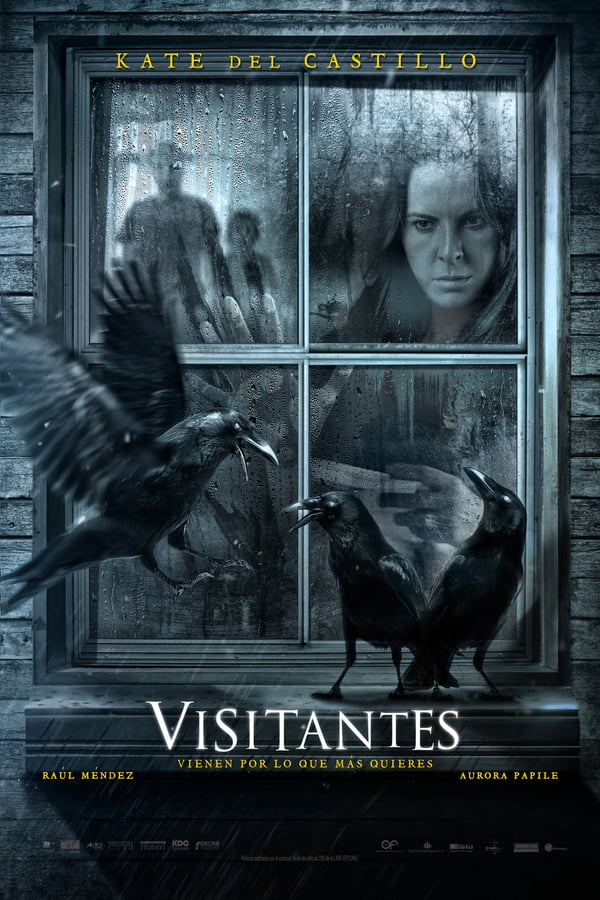 Cover of the movie Visitors