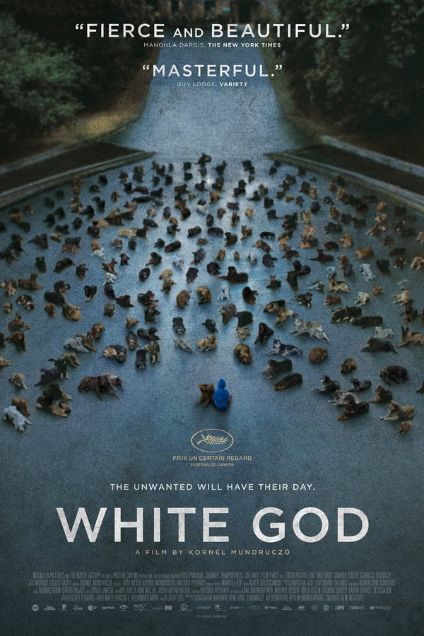 Cover of the movie White God