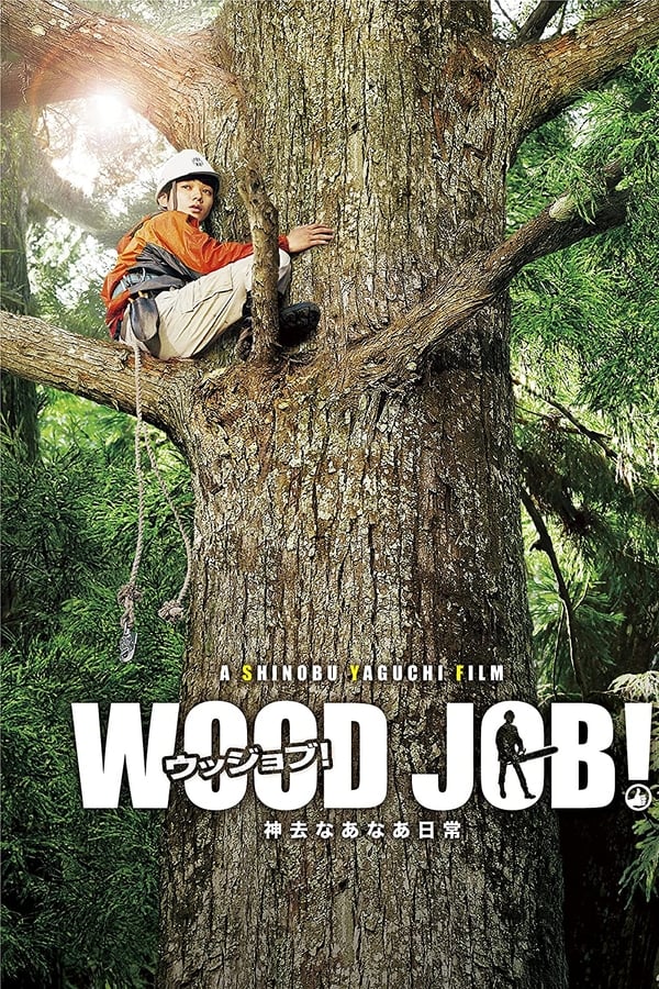 Cover of the movie Wood Job!