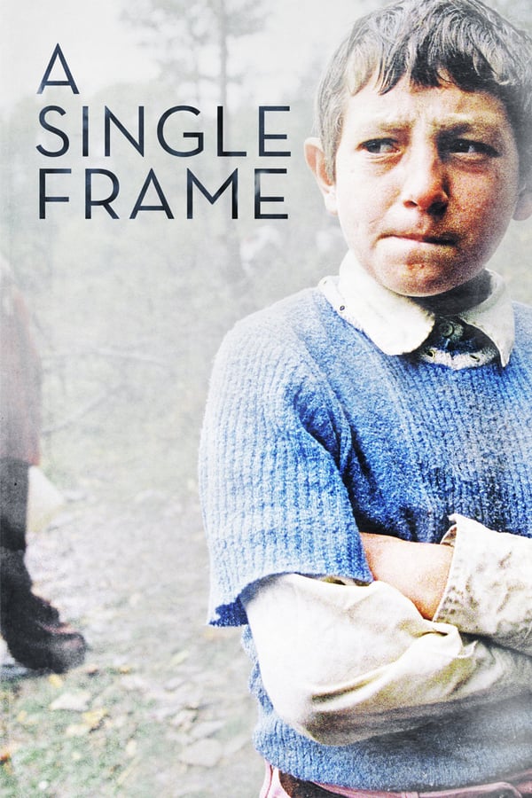 Cover of the movie A Single Frame
