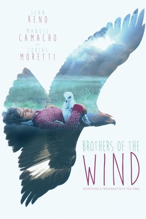 Cover of the movie Brothers of the Wind
