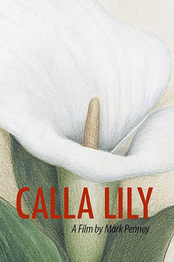 Cover of the movie Calla Lily