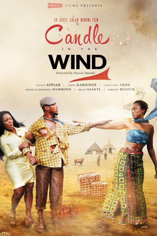 Cover of the movie Candle in the Wind