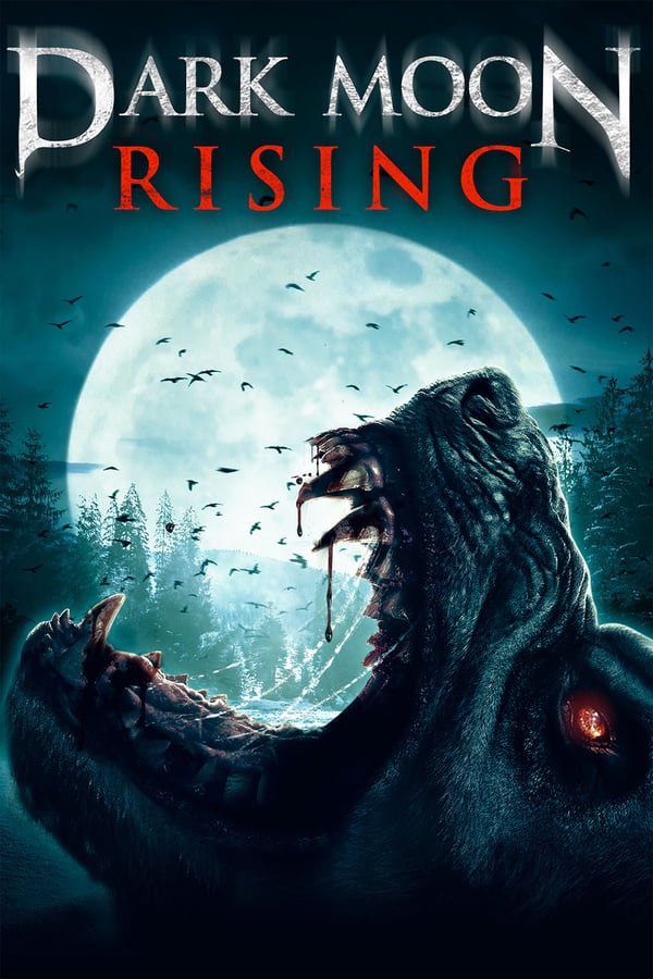 Cover of the movie Dark Moon Rising
