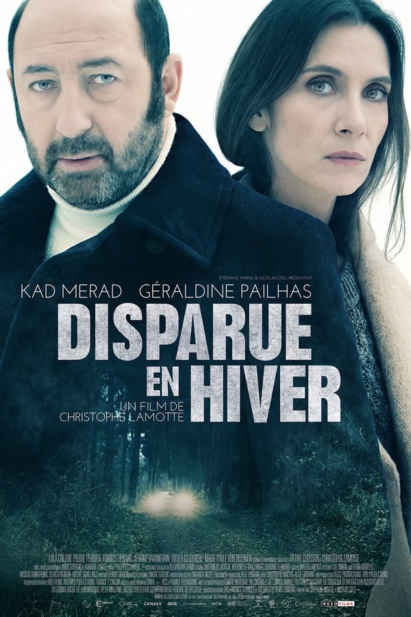 Cover of the movie Disparue en hiver