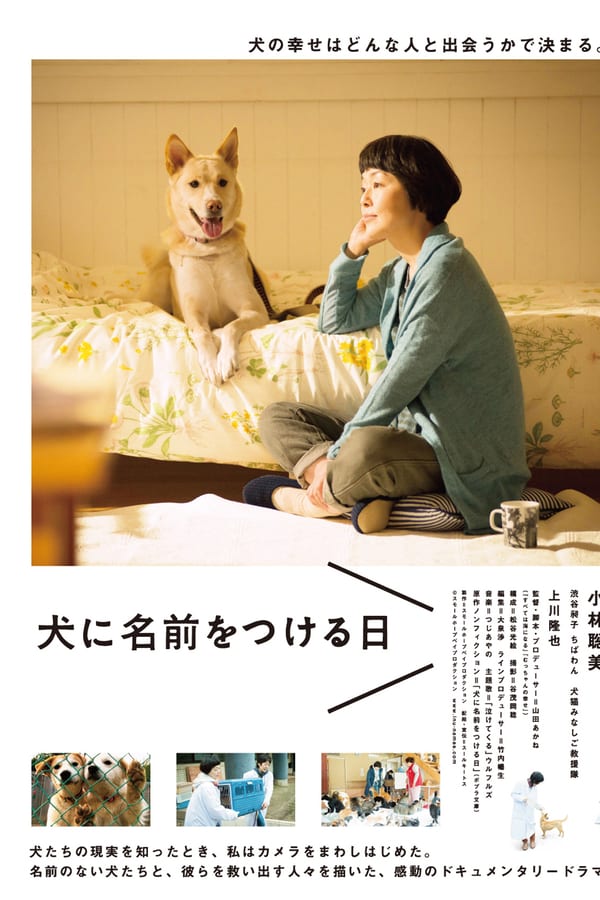 Cover of the movie Dogs Without Names