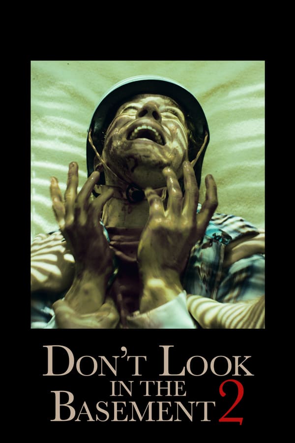 Cover of the movie Don't Look in the Basement 2