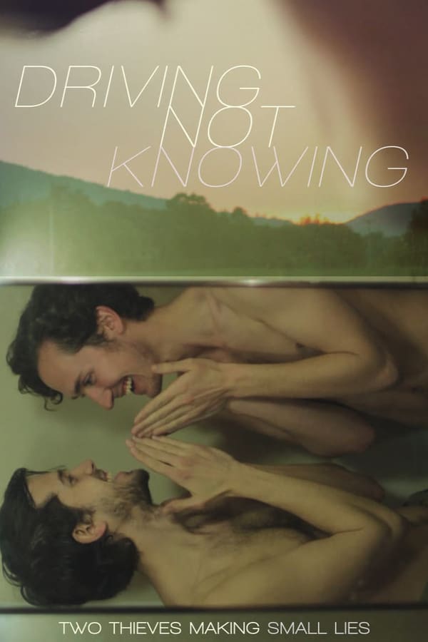 Cover of the movie Driving Not Knowing