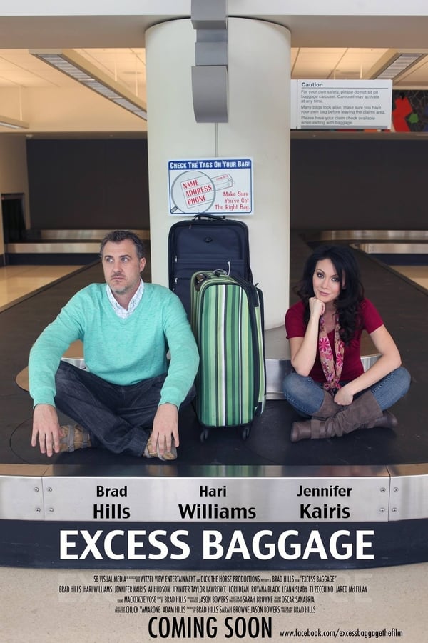 Cover of the movie Excess Baggage