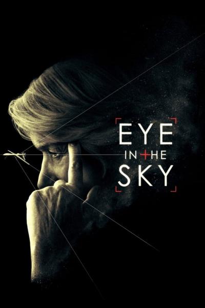 Cover of Eye in the Sky