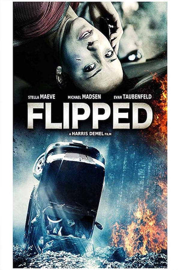 Cover of the movie Flipped