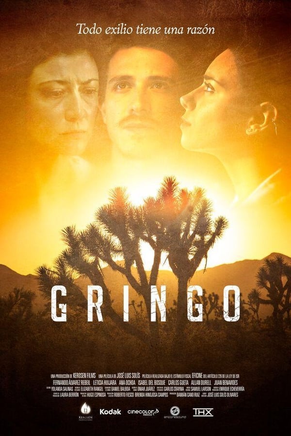 Cover of the movie Gringo