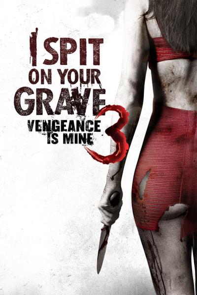 Cover of the movie I Spit on Your Grave III: Vengeance is Mine