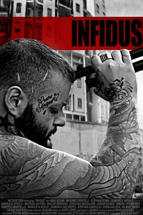 Cover of the movie Infidus