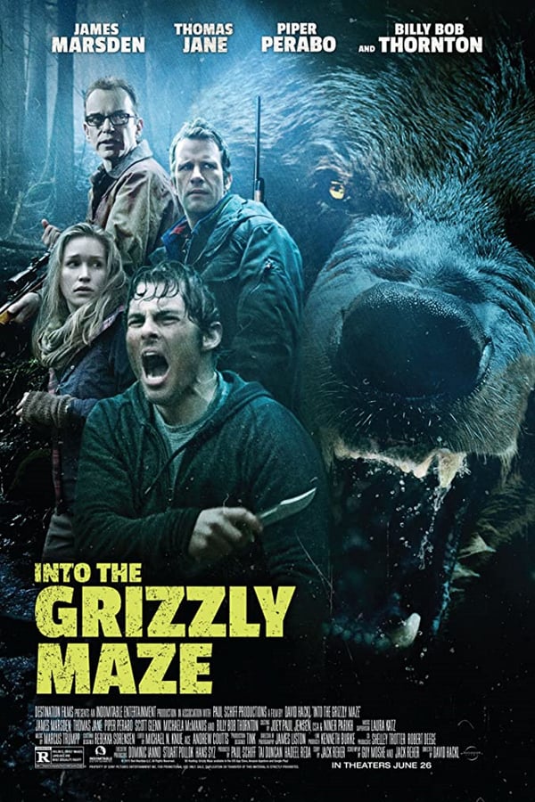 Cover of the movie Into the Grizzly Maze