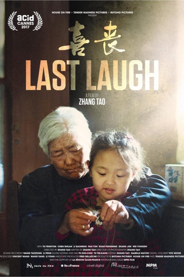 Cover of the movie Last Laugh