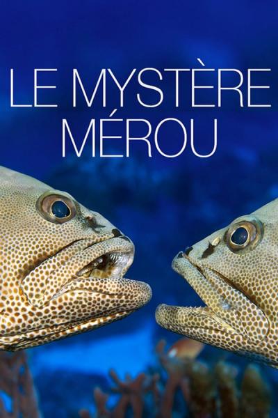 Cover of Le Mystère Mérou