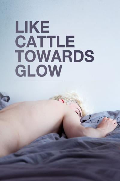 Cover of Like Cattle Towards Glow