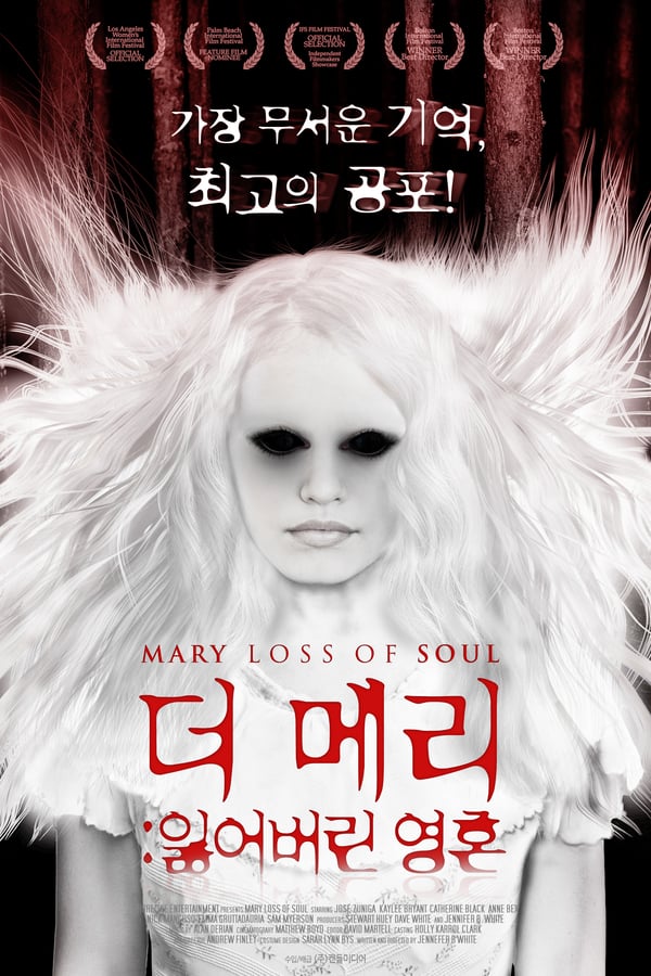 Cover of the movie Mary Loss of Soul