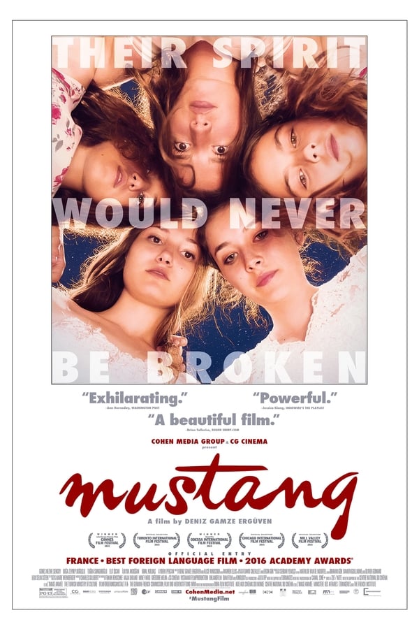 Cover of the movie Mustang
