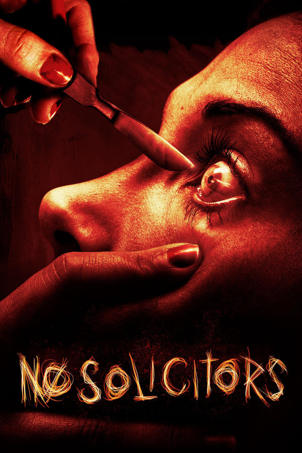 Cover of the movie No Solicitors