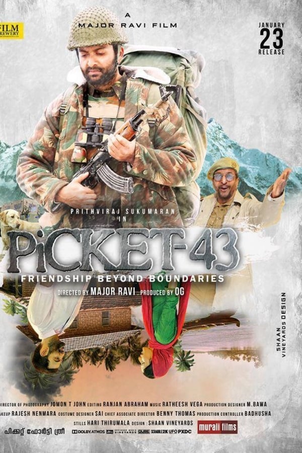Cover of the movie Picket 43