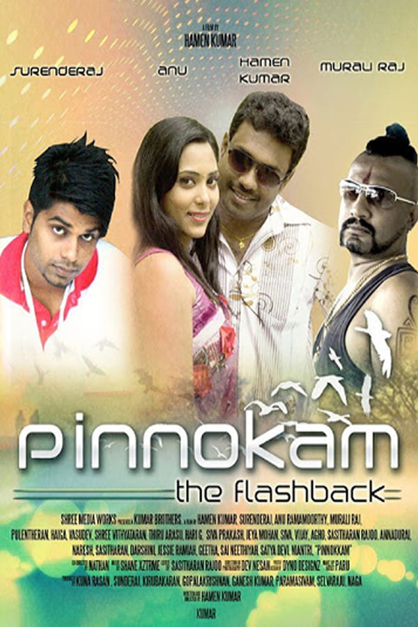 Cover of the movie Pinnokam