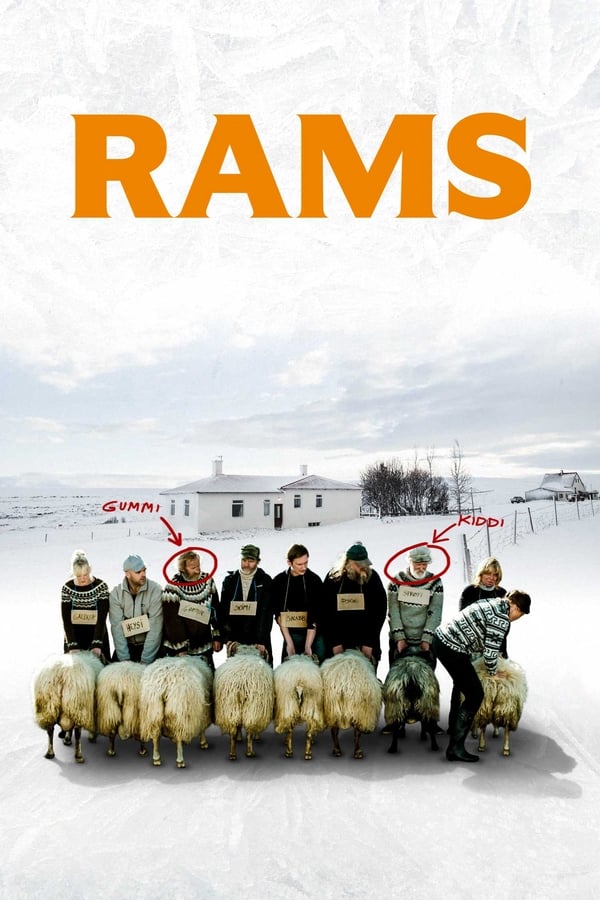 Cover of the movie Rams