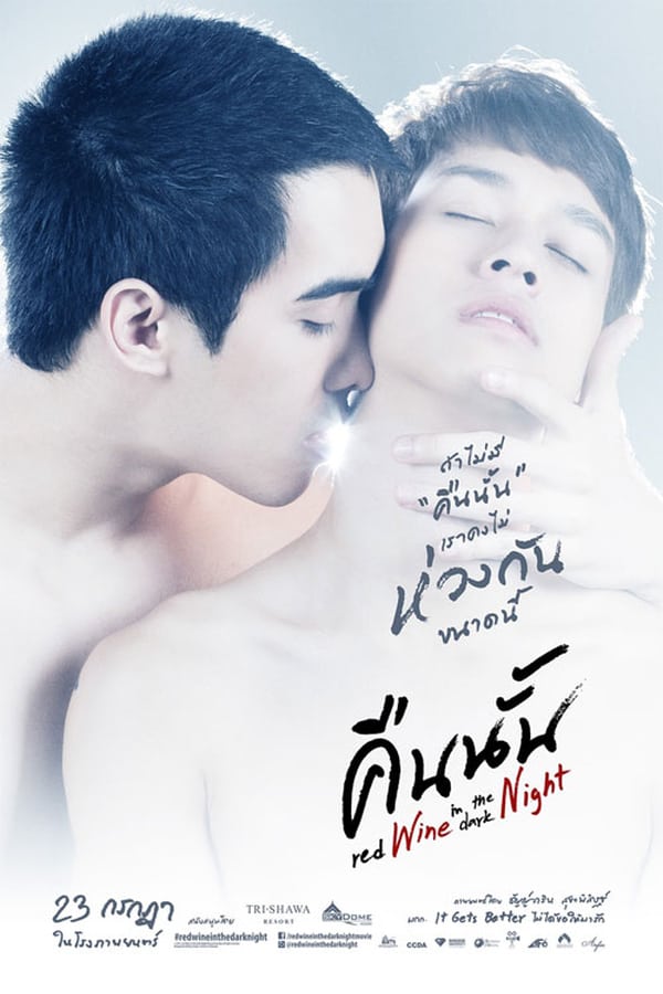 Cover of the movie Red Wine in the Dark Night
