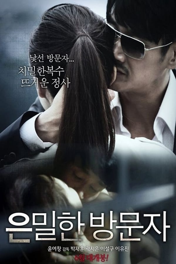 Cover of the movie Secret Visitor