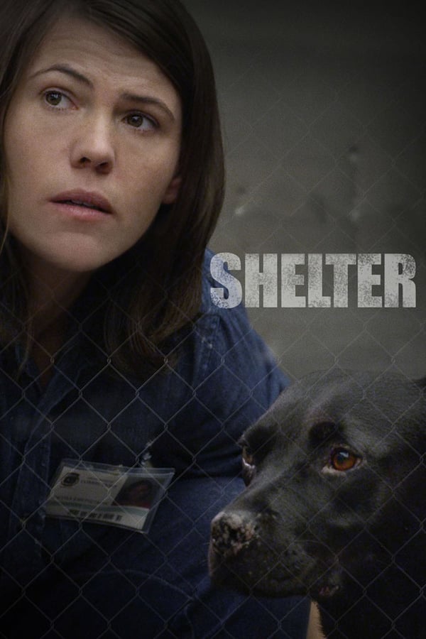 Cover of the movie Shelter