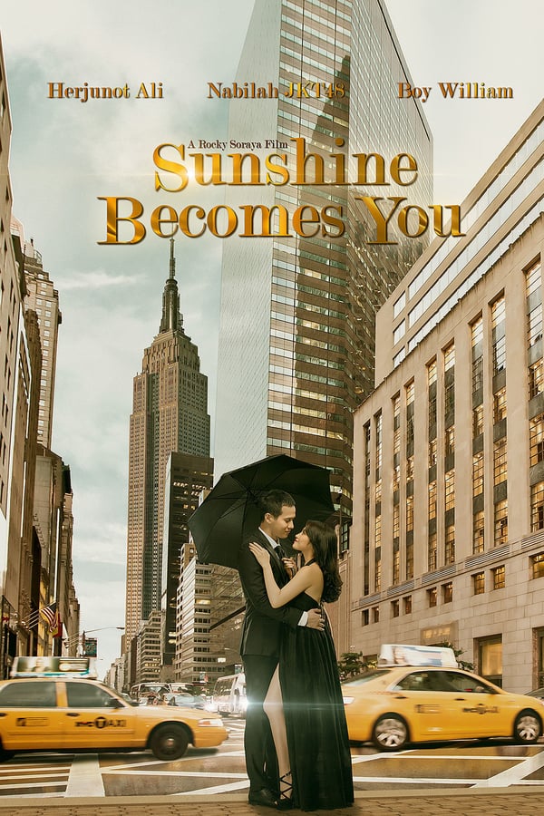 Cover of the movie Sunshine Becomes You