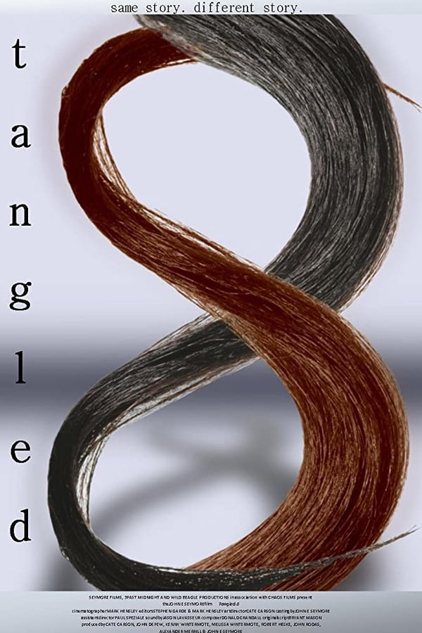Cover of the movie Tangled 8