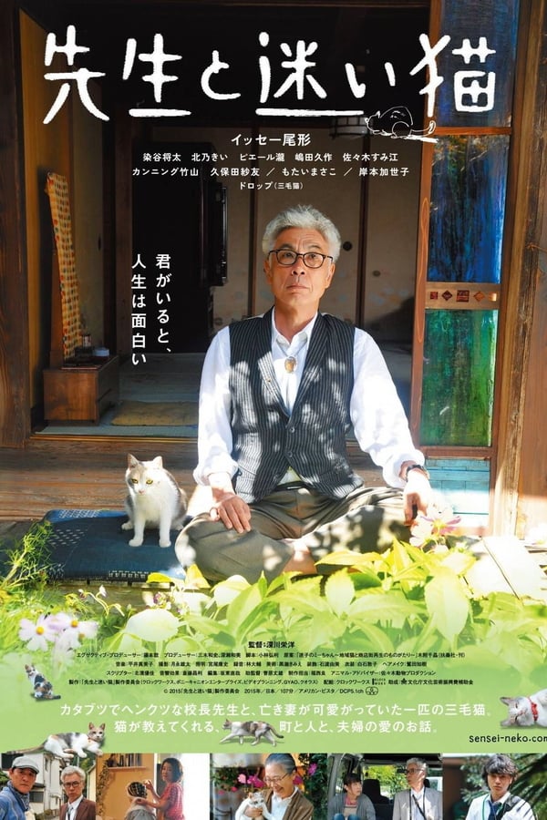 Cover of the movie Teacher and Stray Cat