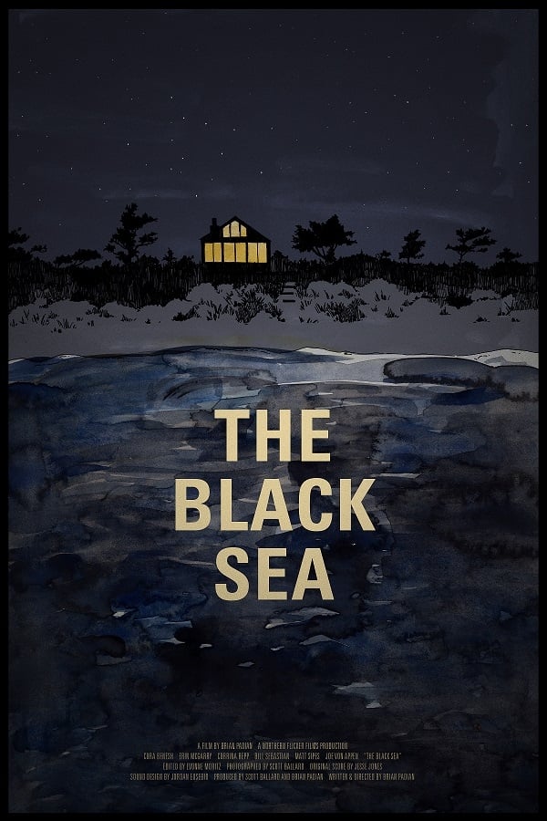 Cover of the movie The Black Sea