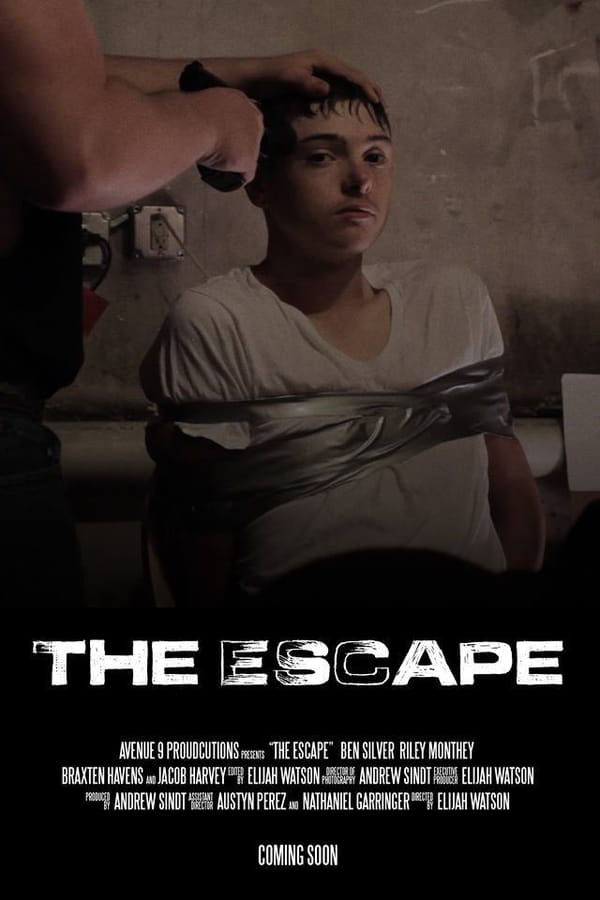 Cover of the movie The Escape