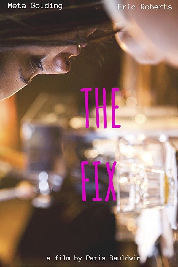 Cover of the movie The Fix
