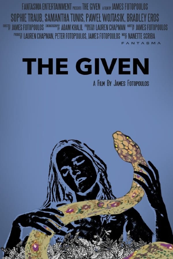 Cover of the movie The Given
