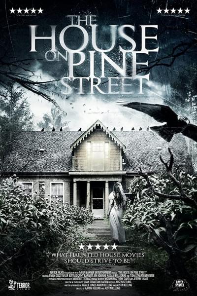 Cover of the movie The House on Pine Street