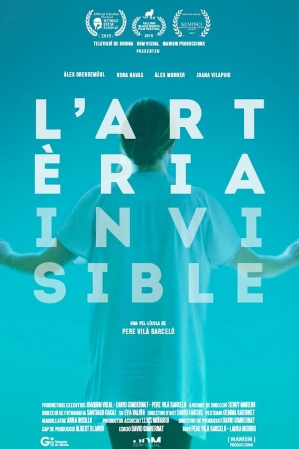 Cover of the movie The invisible artery