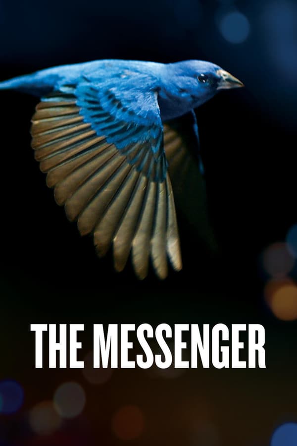 Cover of the movie The Messenger