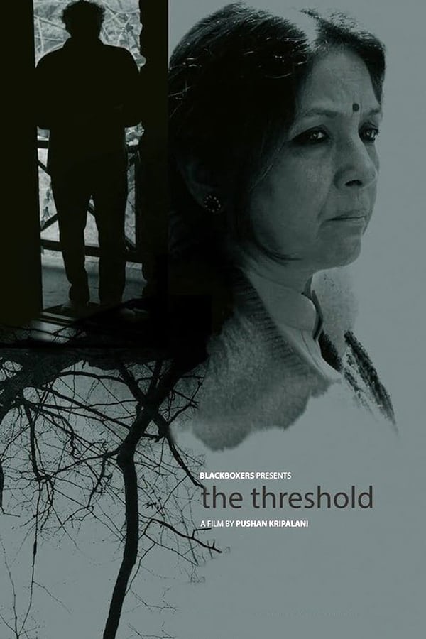 Cover of the movie The Threshold