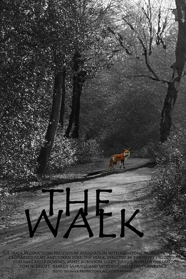 Cover of the movie The Walk