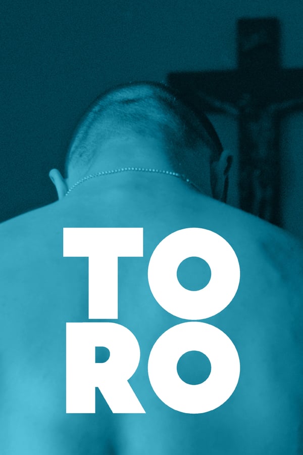 Cover of the movie Toro