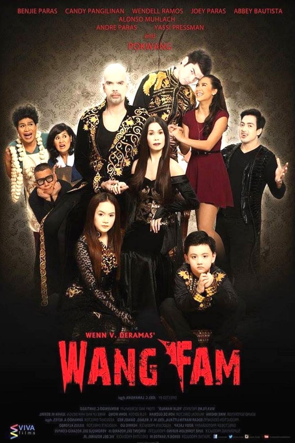 Cover of the movie Wang Fam